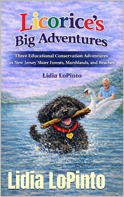 Licorice Big Adventires Large Book (3 adventures)